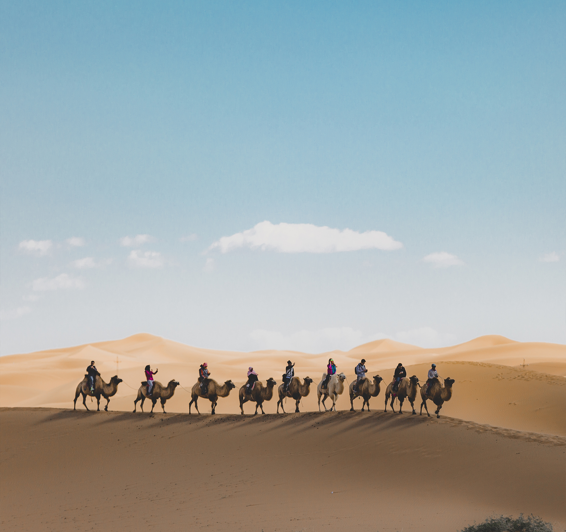 evo-grand-hall image